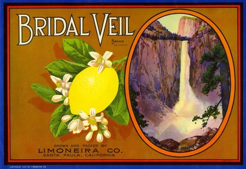 Bridal Veil