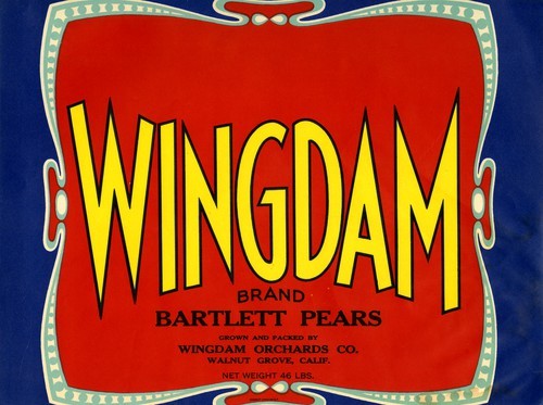 Wingdam