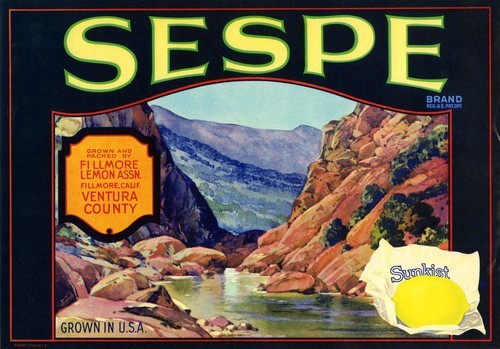 Sespe