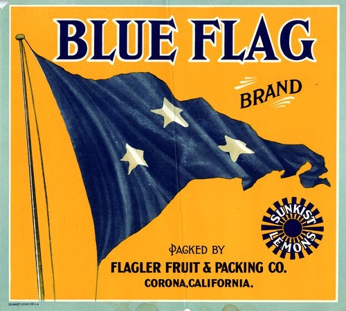 Blue Flag