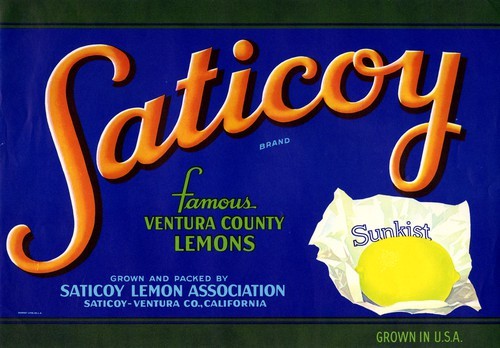 Saticoy