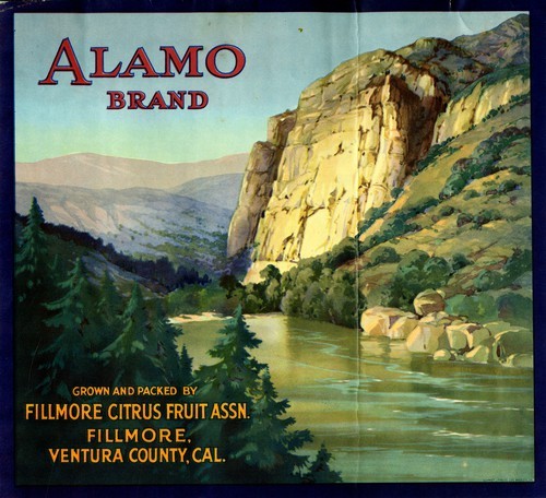 Alamo