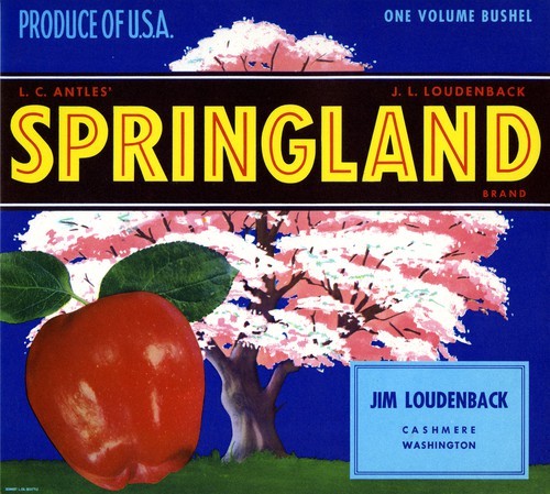 Springland