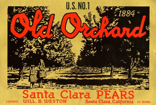 Old Orchard