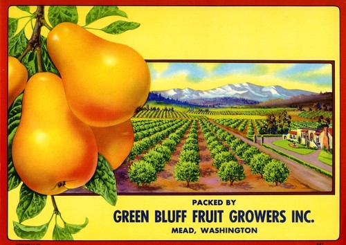 Green Bluff Fruit Growers Inc
