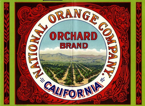 Orchard