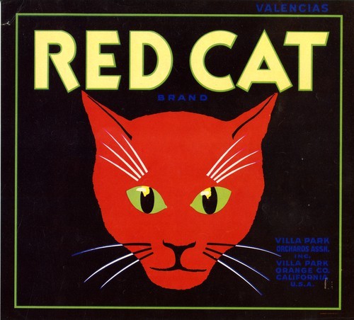 Red Cat