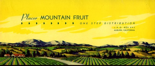 Placer Mountain Fruit