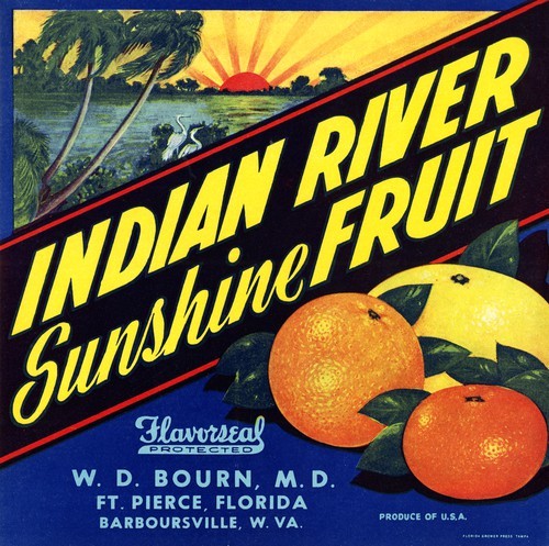 Indian River Sunshine Fruit
