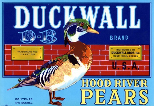 Duckwall