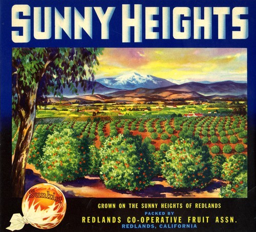 Sunny Heights