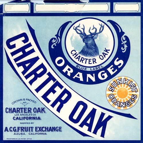 Charter Oak