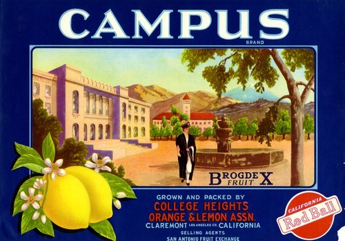 Campus