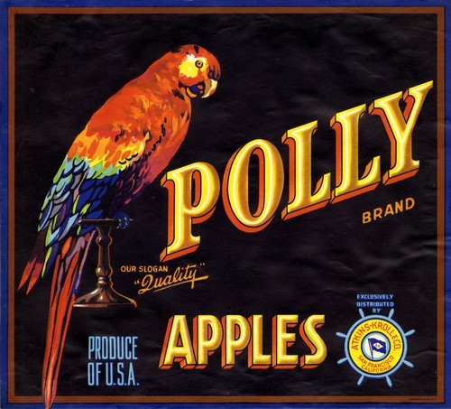 Polly