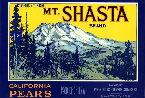 Mt. Shasta