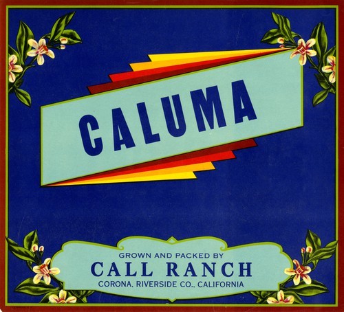 Caluma