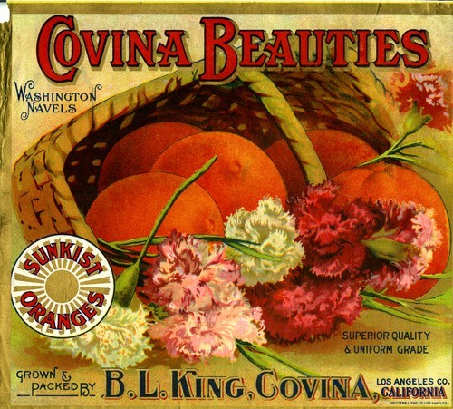 Covina Beauties