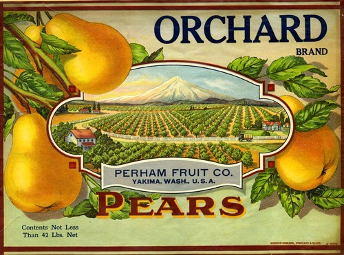 Orchard