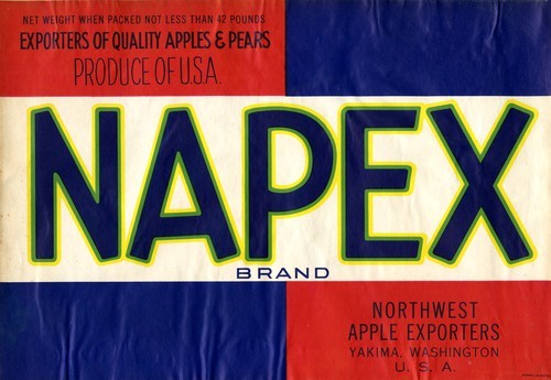 Napex