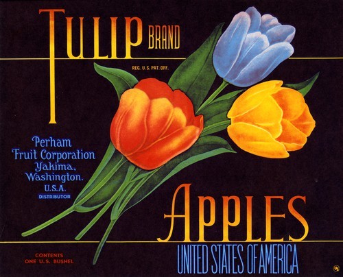 Tulip Brand