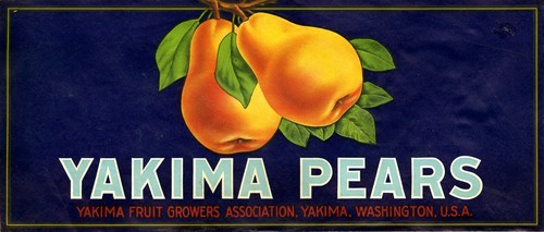 Yakima Pears