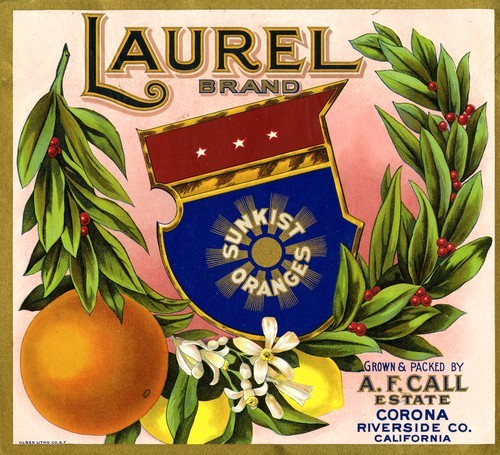 Laurel