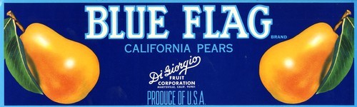 Blue Flag