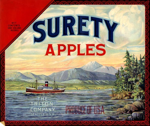 Surety