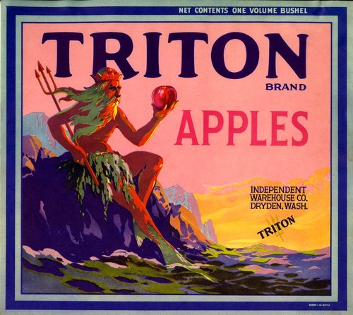 Triton