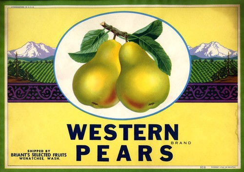 Western Pears