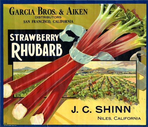 Strawberry Rhubarb