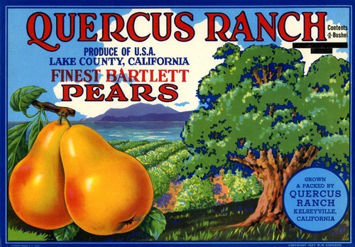 Quercus Ranch