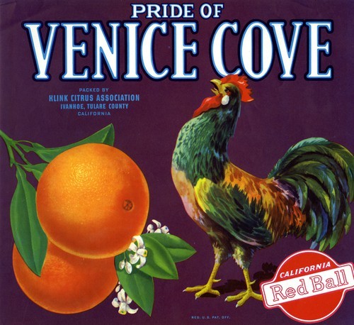 Pride of Venice Cove