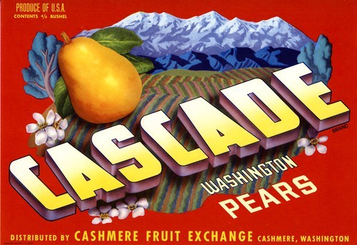 Cascade