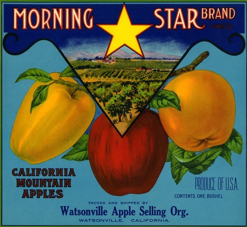 Morning Star