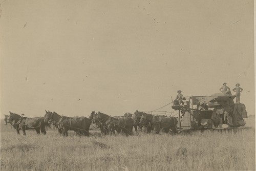 B-1-i, Harvester, Best Manufacturing Company, Pierce Ranch