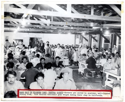 Mess hall in Fillmore Camp