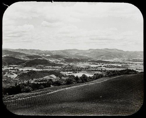 Winegrowers Corporation: Panorama of Napa Valley