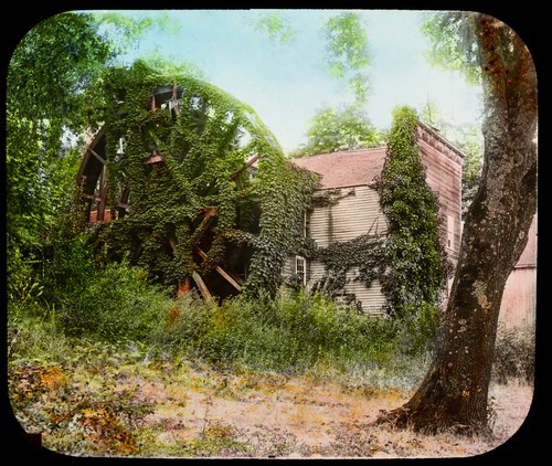 Miscellaneous: Bale Mill, St. Helena, Napa