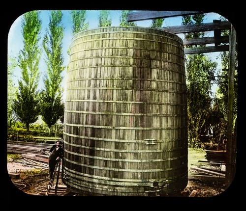 Fresno County: St. George Vineyards, Man on ladder next to enormous cask