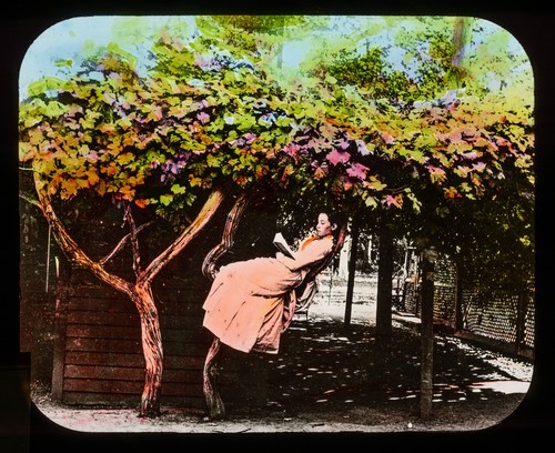 Naglee Brandy: Woman reading while seated in large grapevine