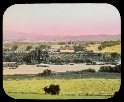 Sonoma County: Asti Winery and Vineyards Pre-1892