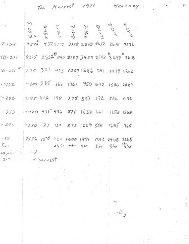 Expense Letter and Tea Harvest Data