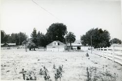 People's House, 4708 Roblar Road, Bloomfield, California, 1979 or 1980