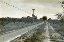 Pleasant Hill Ranch, 1411 Pleasant Hill Road, Sebastopol, California, 1979 or 1980