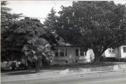 565 North Main Street, Sebastopol, California, 1979 or 1980