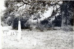 Pleasant Hill Cemetery, 1750 Pleasant Hill Road, Sebastopol, California, 1979 or 1980