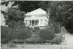 331 Florence Avenue, Sebastopol, California, 1979 or 1980