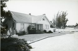 Petersen & Sons, Petersen Road, Sebastopol, California, 1979 or 1980