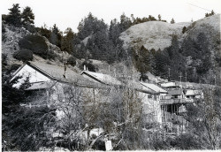 Gable cottages on Balboa Avenue, Jenner, California, 1979 or 1980